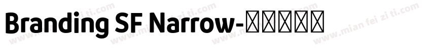 Branding SF Narrow字体转换